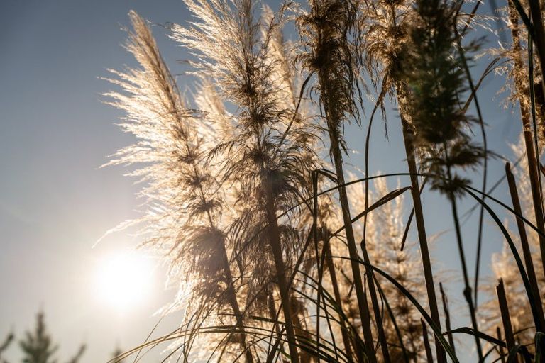 Photo of property in 150 Makara Road, Makara, Karori, 6972