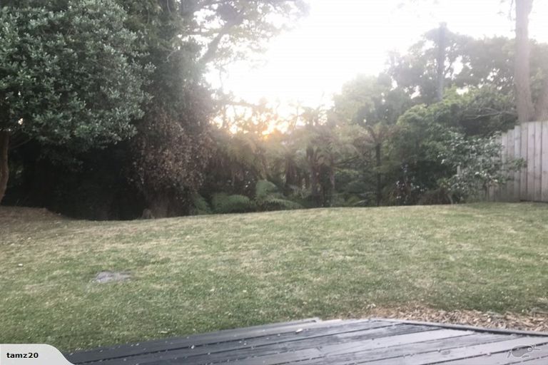 Photo of property in 48 Splitt Avenue, Glenview, Hamilton, 3206