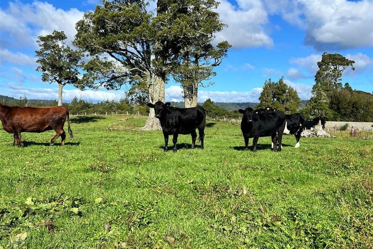 Photo of property in 200 Golf Links Road, Kaiata, Greymouth, 7805