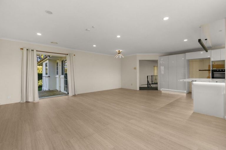 Photo of property in 19 Stella Place, Chartwell, Hamilton, 3210