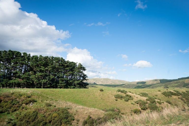 Photo of property in 44 Atlantic Drive, Fitzherbert, Palmerston North, 4410