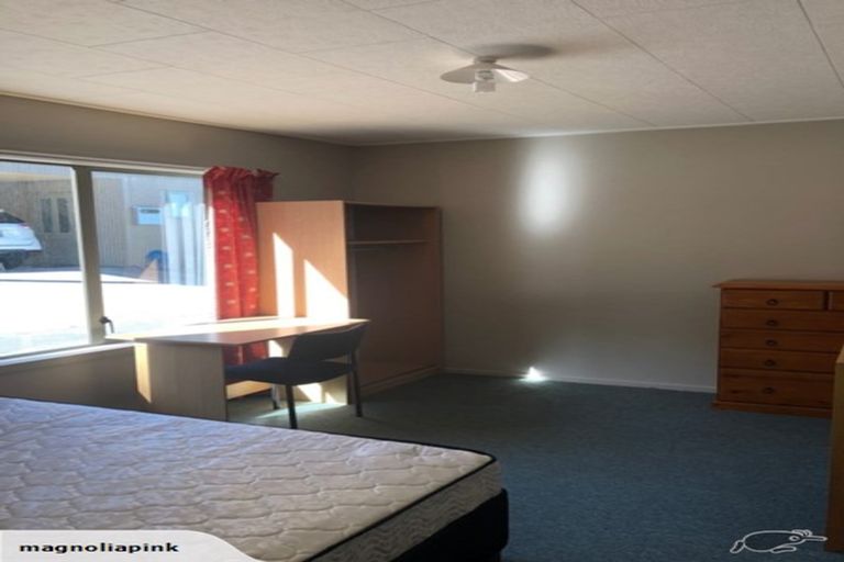 Photo of property in 11 Maitland Street, Dunedin Central, Dunedin, 9016