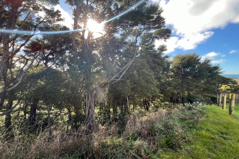 Photo of property in 5 Libertia Lane, Orewa, 0931