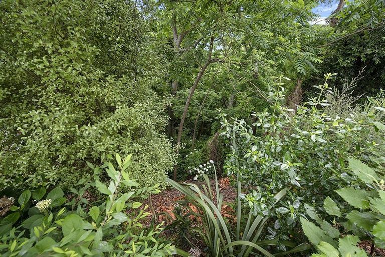 Photo of property in 51 Rimu Street, Maeroa, Hamilton, 3200