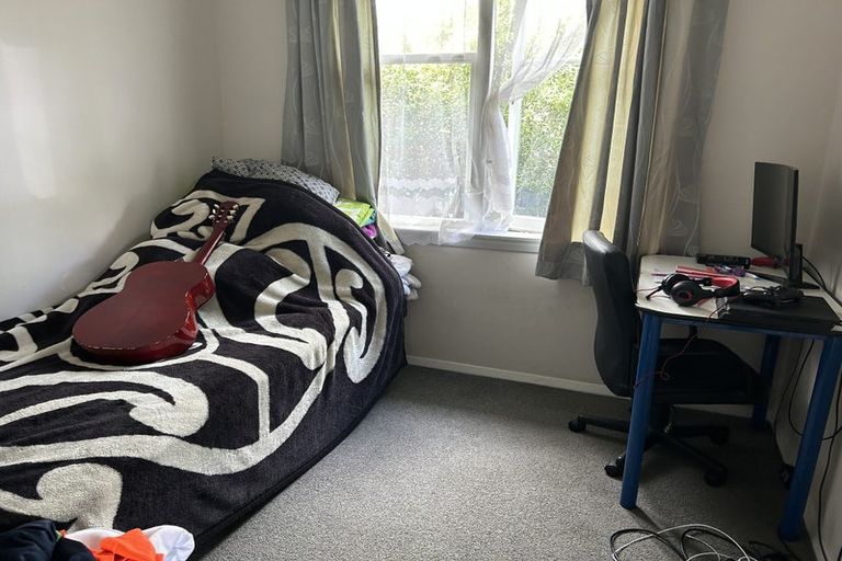 Photo of property in 174 Tiro Tiro Road, Levin, 5510