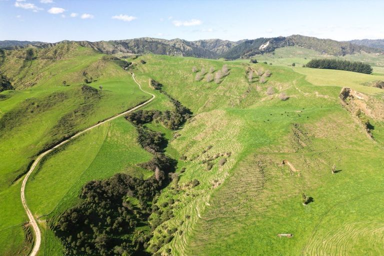 Photo of property in 918 Makakaho Road, Ngamatapouri, 4588