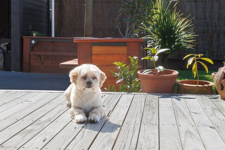 Photo of property in 25 Cobden Street, Westport, 7825