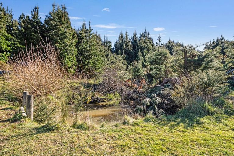 Photo of property in 87 Sladdens Bush Road, Coopers Creek, Oxford, 7495