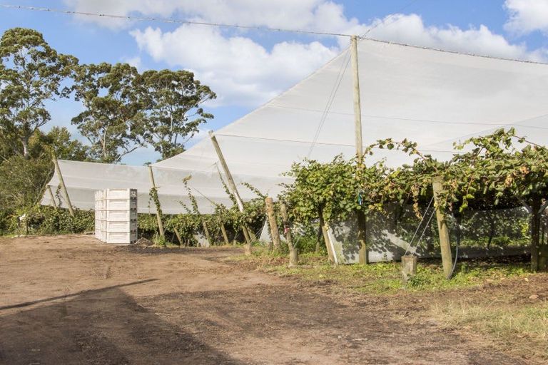 Photo of property in 416 State Highway 2, Tahawai, Katikati, 3170