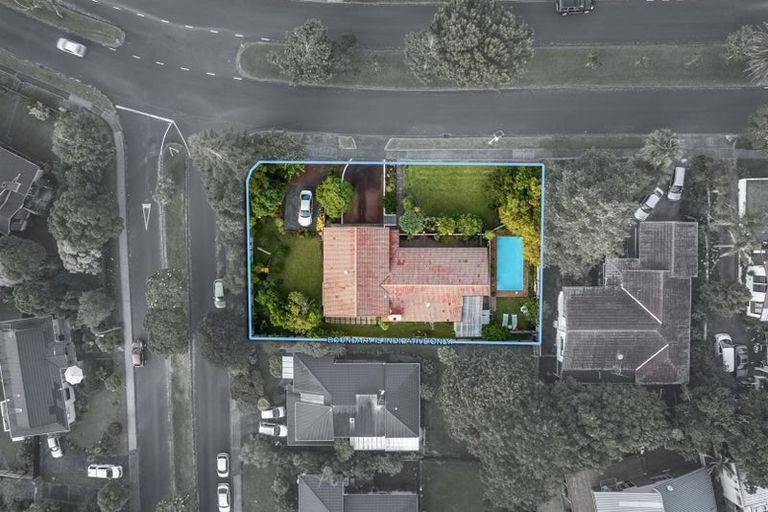 Photo of property in 100 Becroft Drive, Forrest Hill, Auckland, 0620