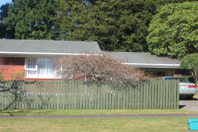 Photo of property in 31 Butterworth Avenue, Opaheke, Papakura, 2113