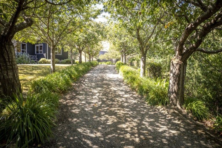 Photo of property in 196 Tinui Valley Road, Tinui Valley, Tinui, 5894