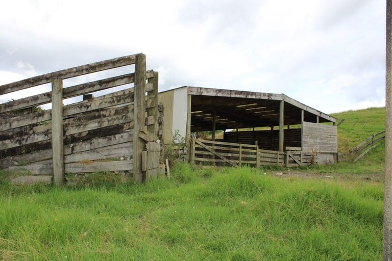 Photo of property in 529 Tangowahine Valley Road, Tangowahine, Dargaville, 0372
