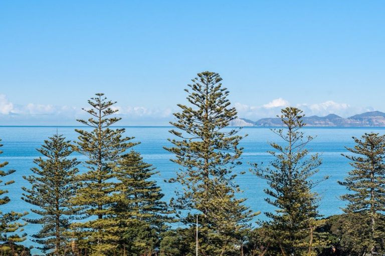 Photo of property in 16 Brewster Street, Bluff Hill, Napier, 4110