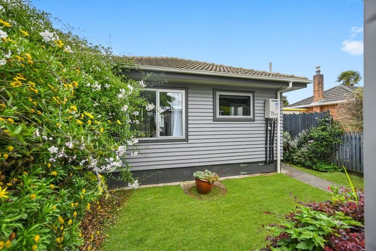 Photo of property in 17b Brown Street, Hamilton East, Hamilton, 3216