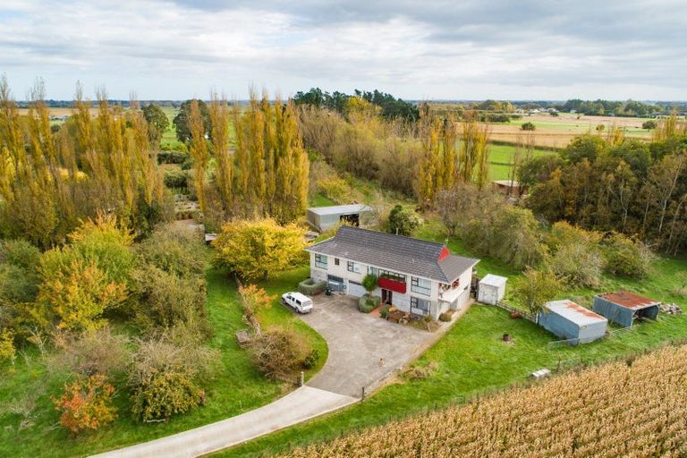 Photo of property in 82 Flygers Line, Milson, Palmerston North, 4478