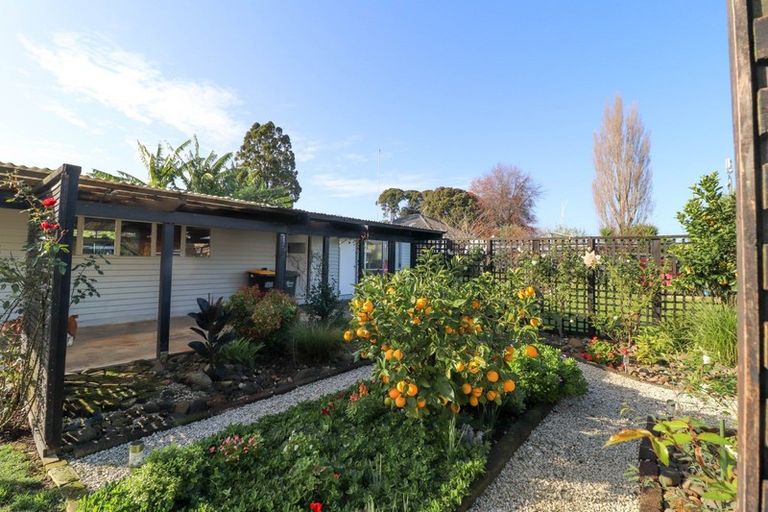 Photo of property in 103 Lowe Avenue, Thames, 3500