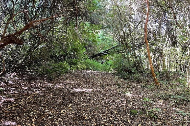 Photo of property in 28 Patmos Avenue, Woodhaugh, Dunedin, 9010