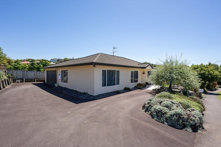 Photo of property in 20 Rochfort Drive, Richmond, 7020