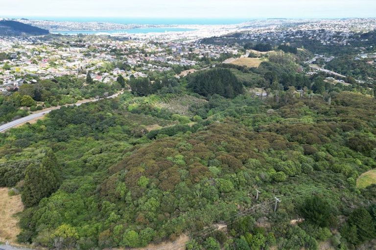 Photo of property in 28 Patmos Avenue, Woodhaugh, Dunedin, 9010