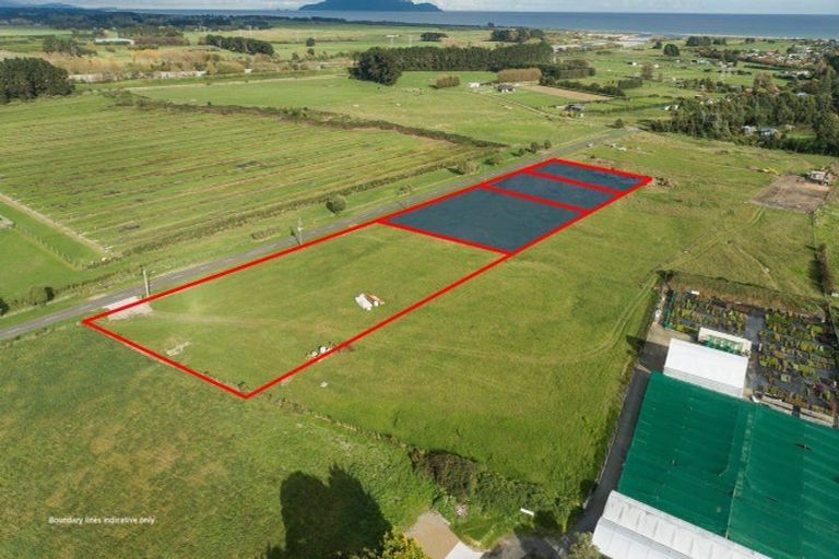 Photo of property in 46c Halifax Street, Nelson, 7010
