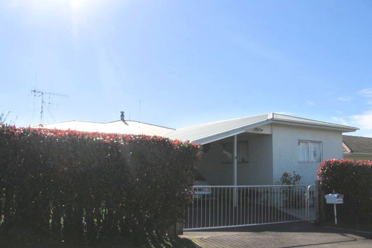 Photo of property in 229b Fifteenth Avenue, Tauranga South, Tauranga, 3112
