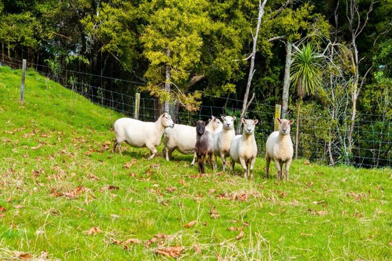 Photo of property in 50 Waitoki Road, Waitoki, Kaukapakapa, 0871