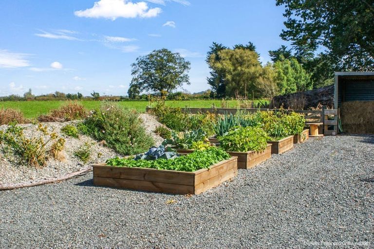 Photo of property in 2105 Glencoe Highway, Hedgehope, Invercargill, 9872