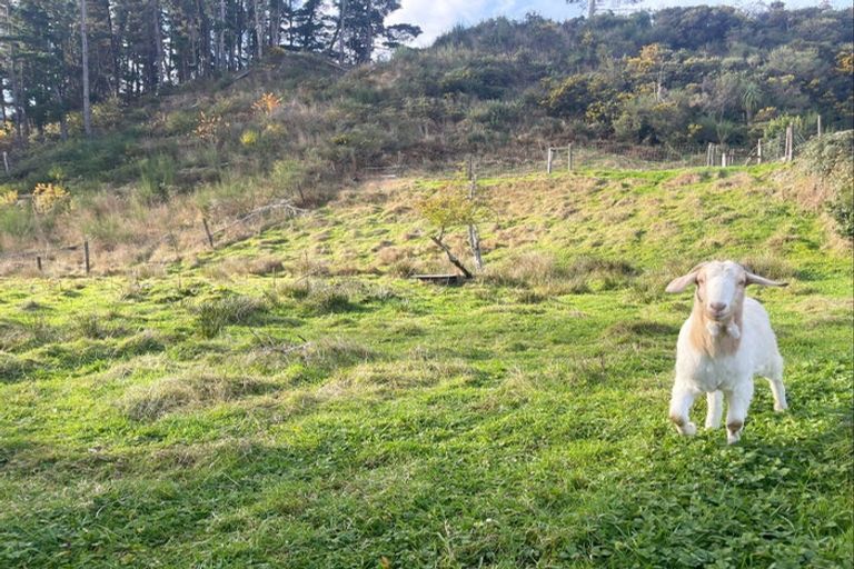 Photo of property in 29 Hattie Street, Reefton, 7830