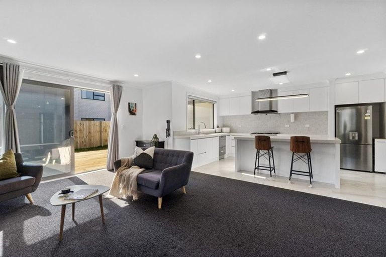 Photo of property in 14 Sydney Place, Flagstaff, Hamilton, 3210