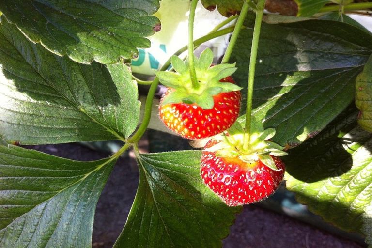 Photo of property in 781 Outram-mosgiel Road, Riverside, Mosgiel, 9073