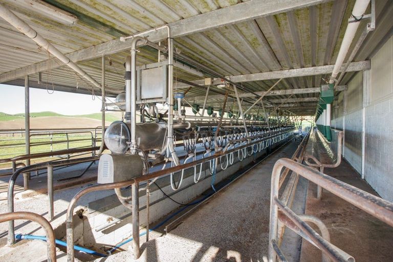 Photo of property in 24 Waterworks Road, Westport, 7892