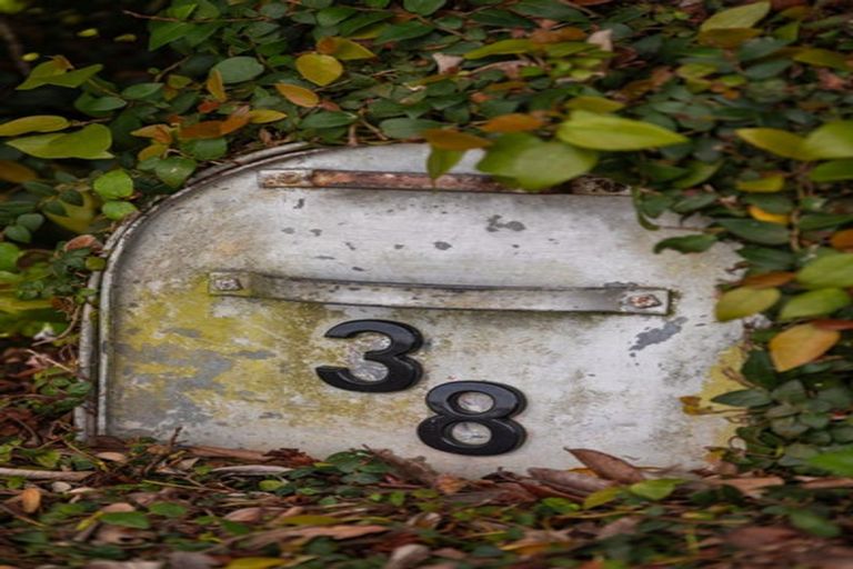 Photo of property in 38 Towers Street, Paeroa, 3600