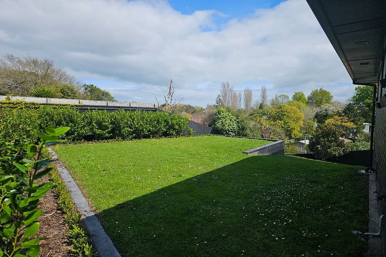 Photo of property in 61 Casey Avenue, Fairfield, Hamilton, 3214