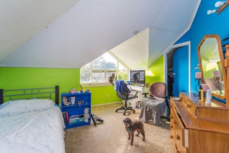Photo of property in 134 Weraroa Road, Levin, 5510