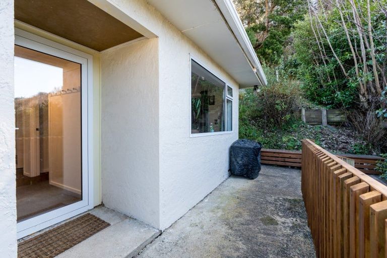 Photo of property in 51 Buccleugh Street, North East Valley, Dunedin, 9010