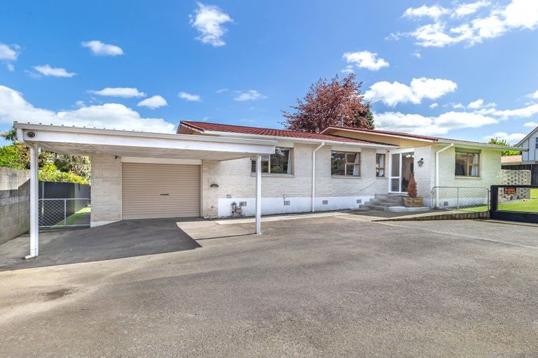 Photo of property in 97a Weraroa Road, Levin, 5510