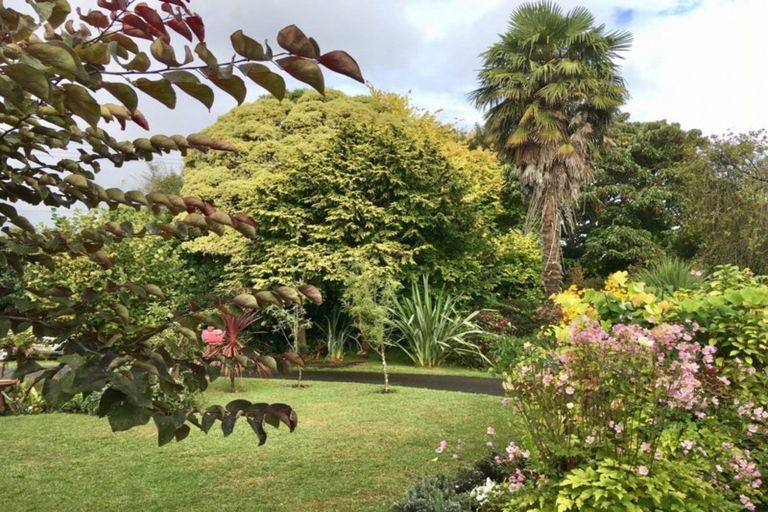 Photo of property in 23 Hastings Street, Te Puke, 3119