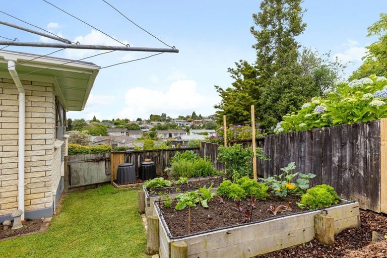 Photo of property in 10 Hazelwood Avenue, Dinsdale, Hamilton, 3204