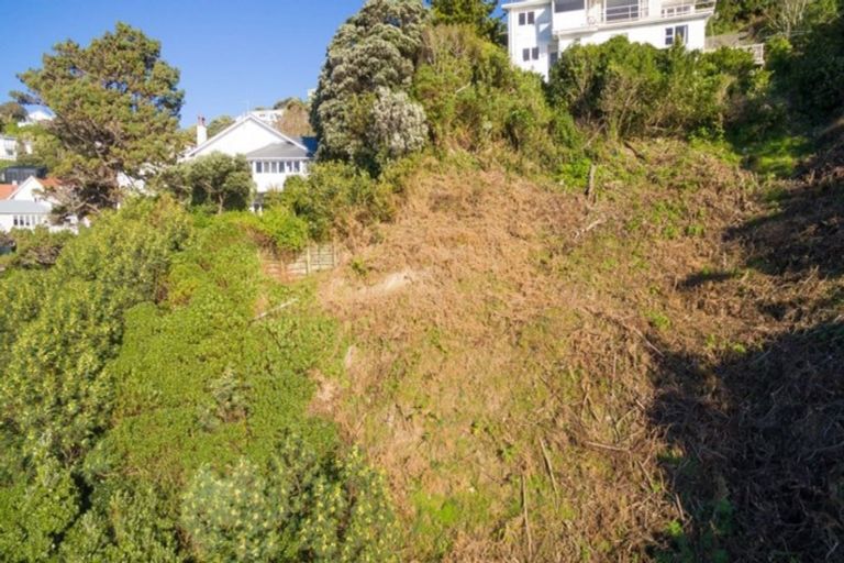 Photo of property in 21 Kio Road, Hataitai, Wellington, 6021