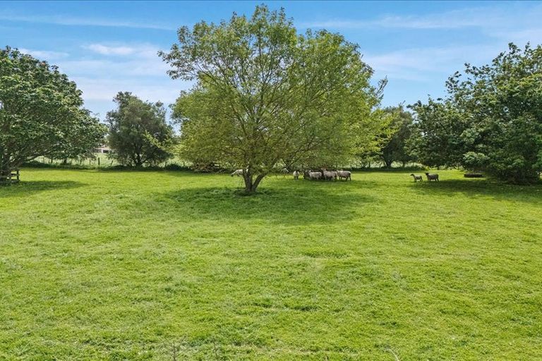 Photo of property in 569 Arapuni Road, Kihikihi, Te Awamutu, 3872