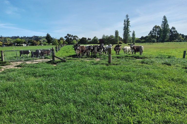 Photo of property in 19 Whiting Drive, Wakefield, 7025