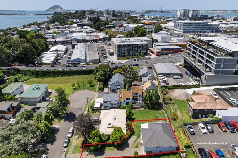 Photo of property in 6 Sheath Street, Tauranga, 3110