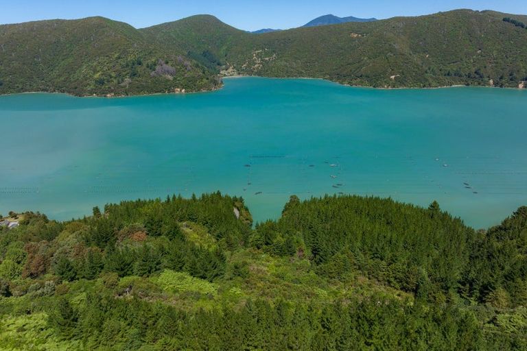 Photo of property in 4954 Kenepuru Road, Ohauparuparu Bay, Marlborough Sounds, 7282