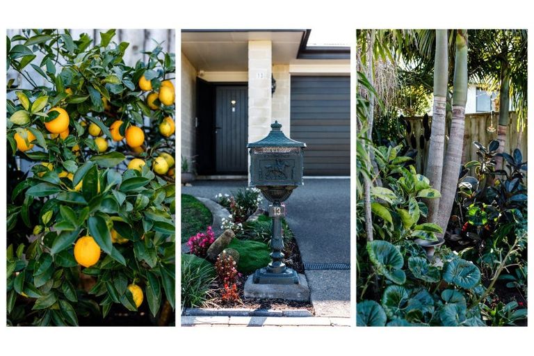 Photo of property in 13 Banksia Lane, Whakatane, 3120