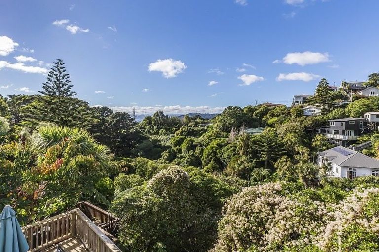 Photo of property in 107 Mortimer Terrace, Brooklyn, Wellington, 6021