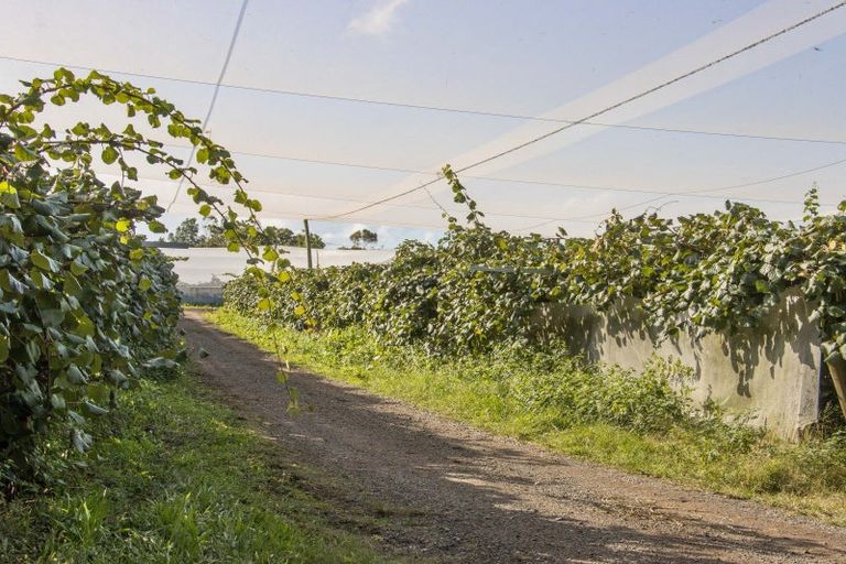 Photo of property in 416 State Highway 2, Tahawai, Katikati, 3170