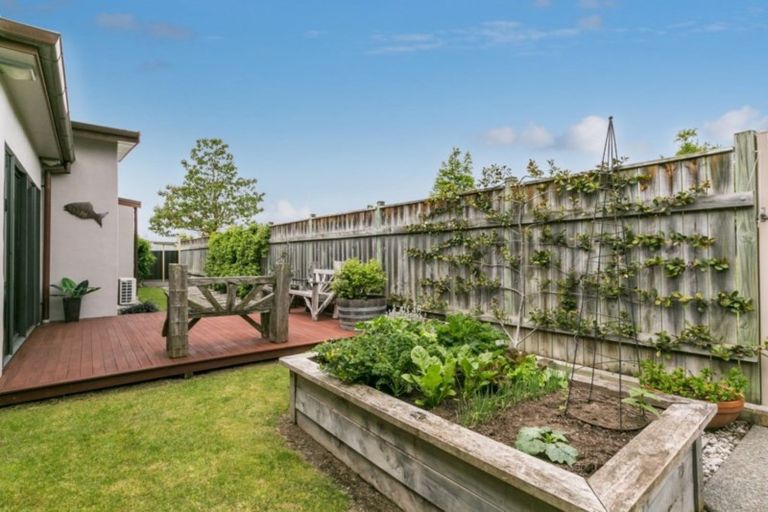 Photo of property in 24 Brooklands Drive, Havelock North, 4130