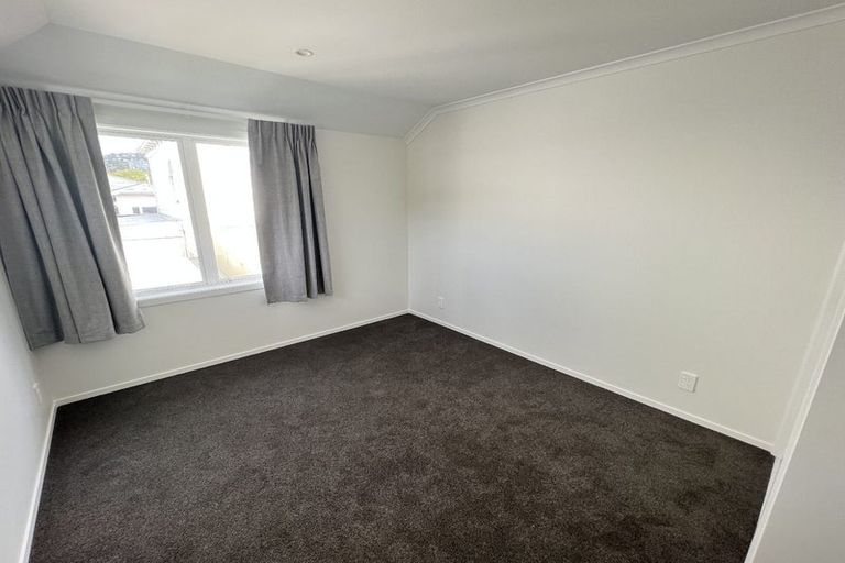 Photo of property in 101 Daniell Street, Newtown, Wellington, 6021