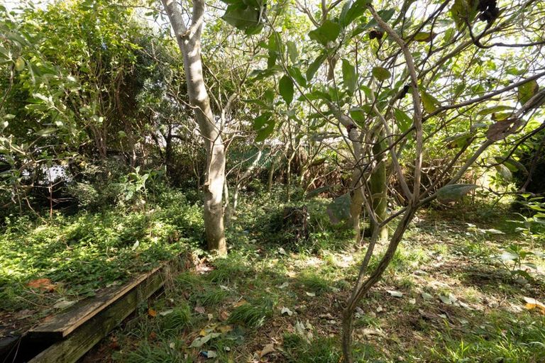 Photo of property in 77 Mould Street, Waitara, 4320